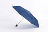 Delta Umbrella